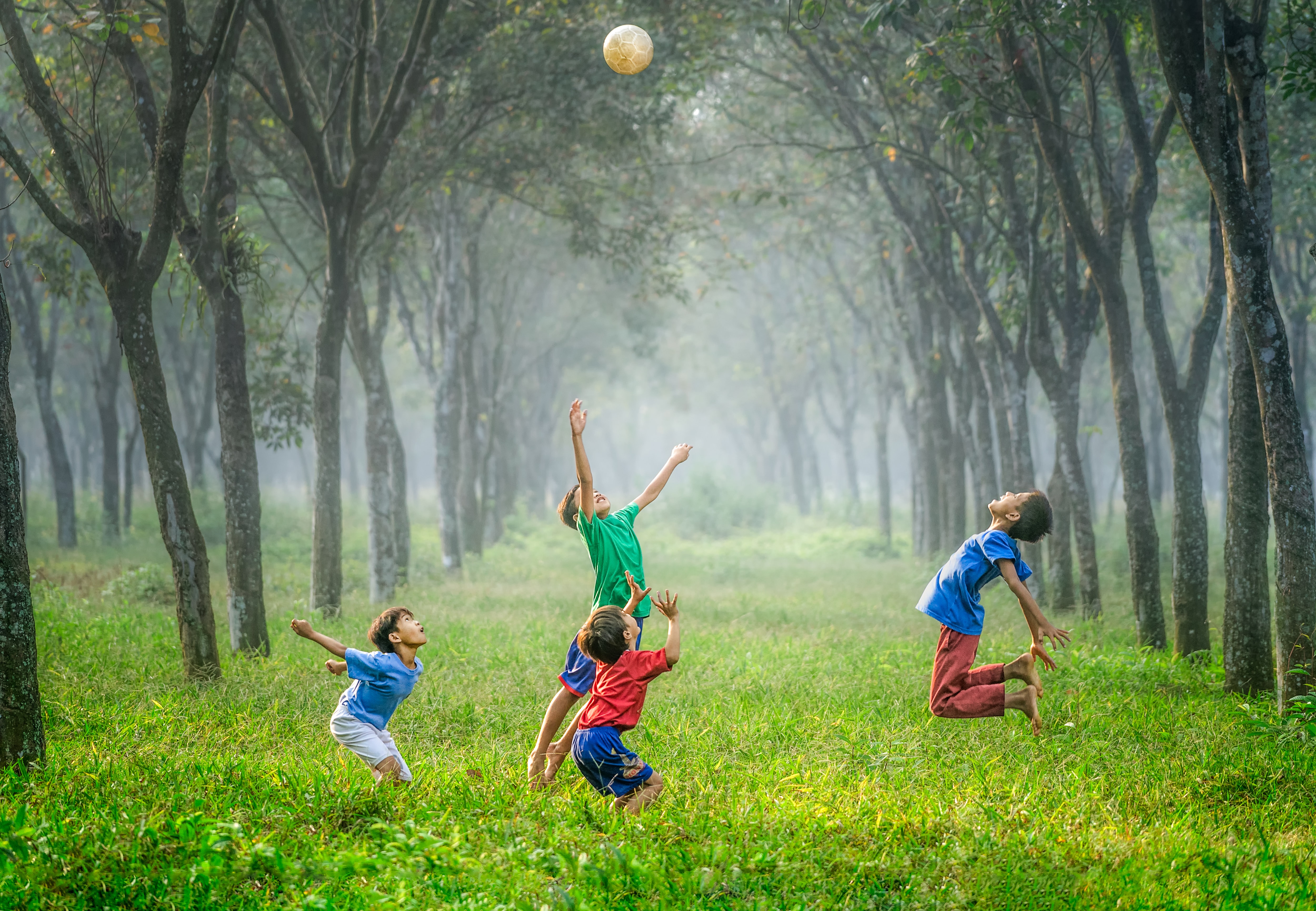 Copii in parc printre copaci se joaca cu mingea si invata limba engleza