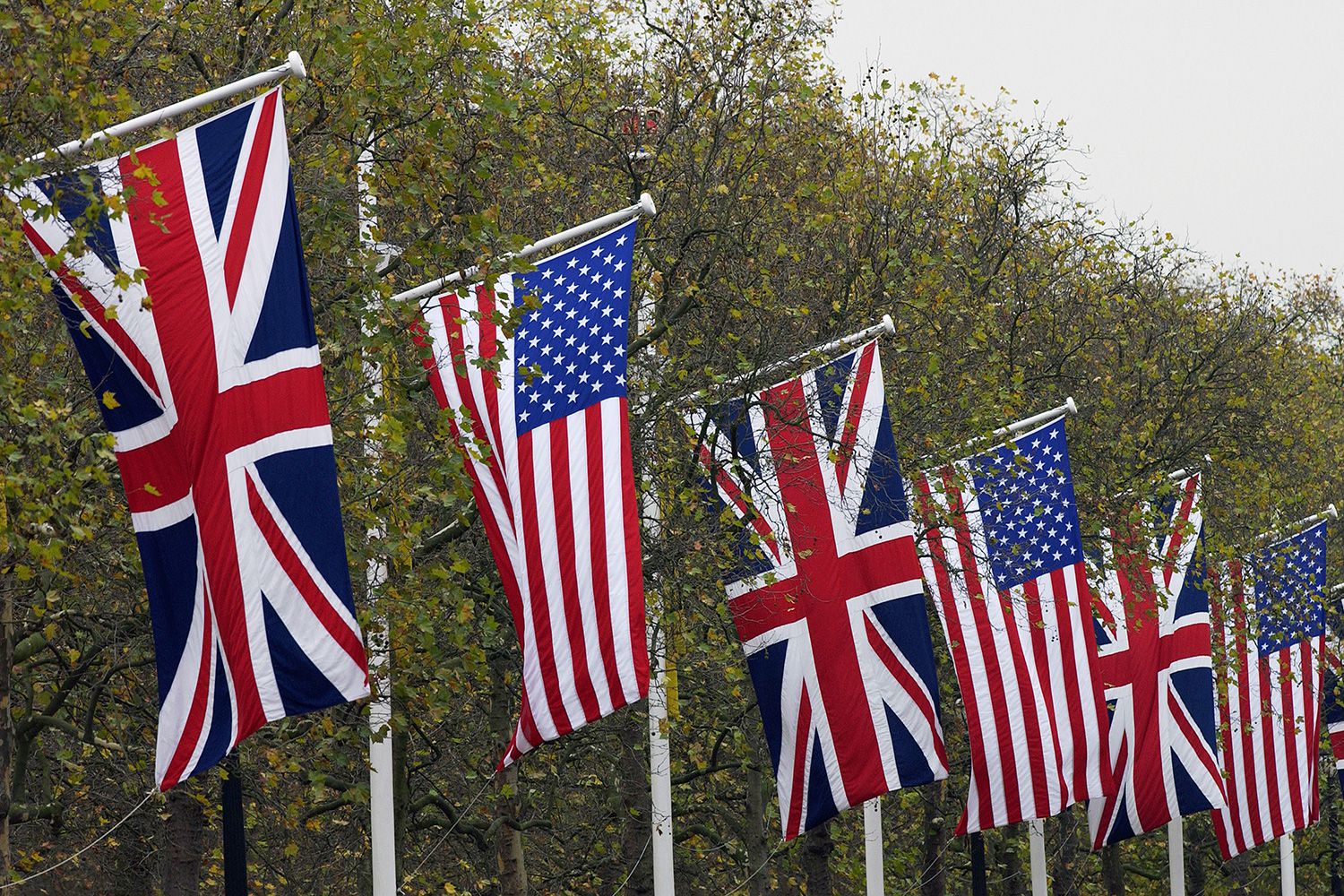 6 steaguri ale SUA si Regatului unit arborate alternativ pe fundalul coroanelor unor copaci