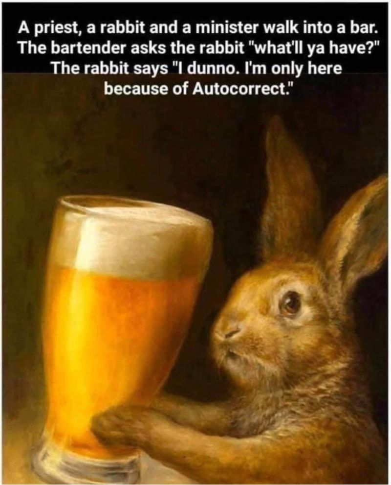 desen cu un iepure care tine in labe o halba mare de bere