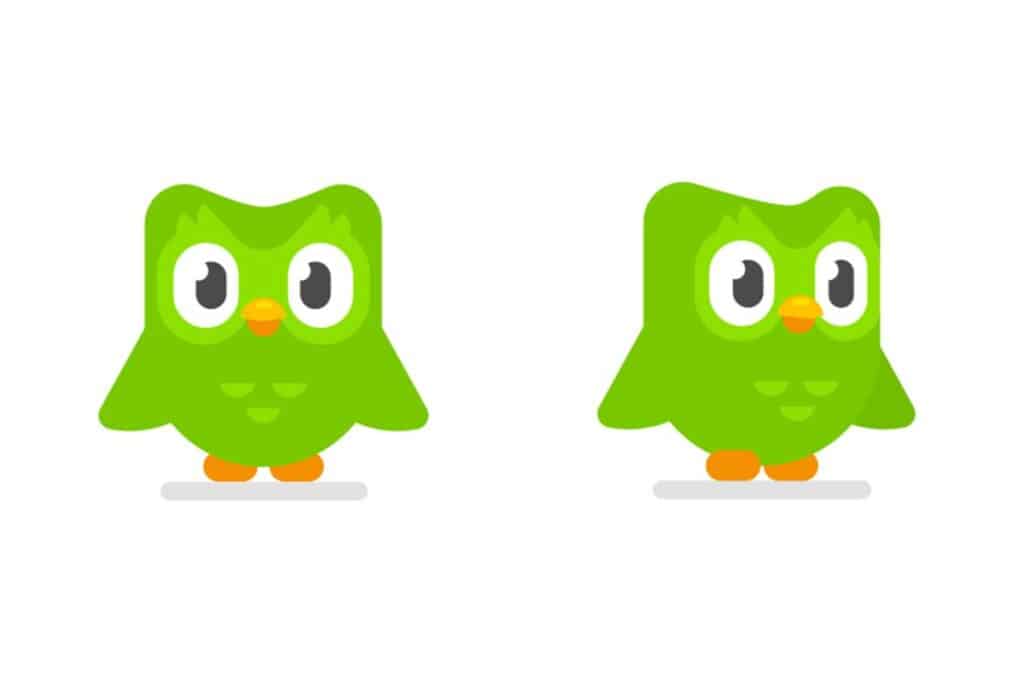 logo aplicatie duolingo canstand in doua bufnite verzi 