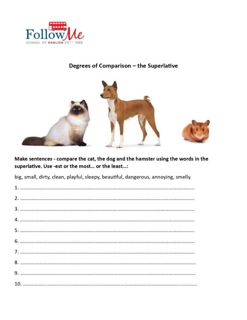 Fisa de lucru - gradele de comparatie in limba engleza, gradul superlativ, pisica, cainele si hamsterul