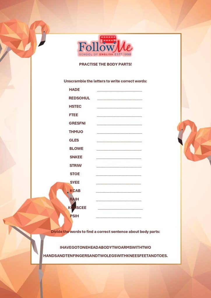 fisa de lucru cu partile corpului in engleza cu rama roz cu model cu flamingo