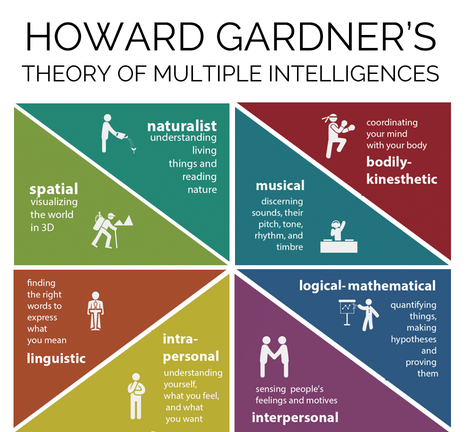grafic ce explica teoria inteligentelor multiple