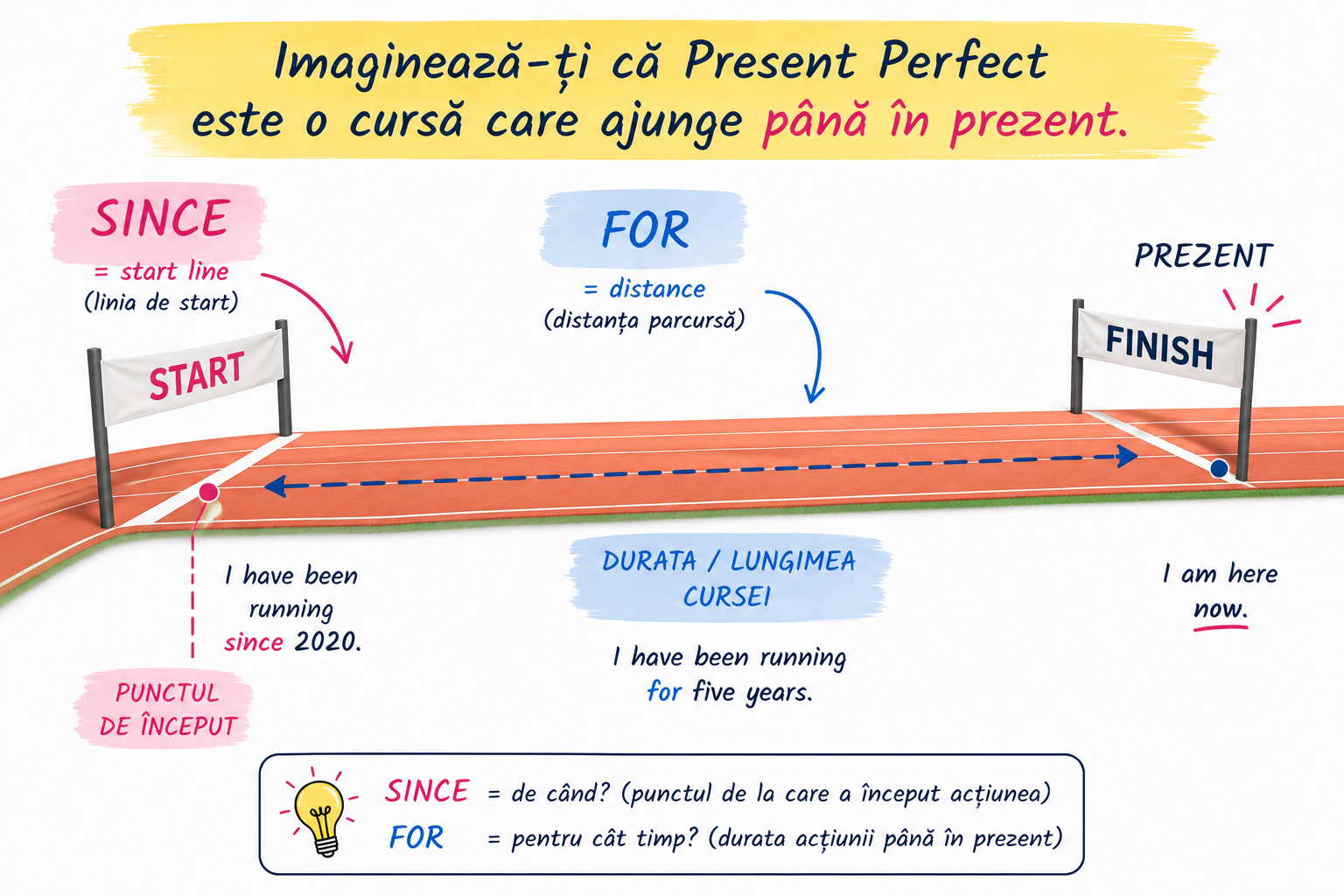 Present Perfect, for si since explicate vizual ca o cursa